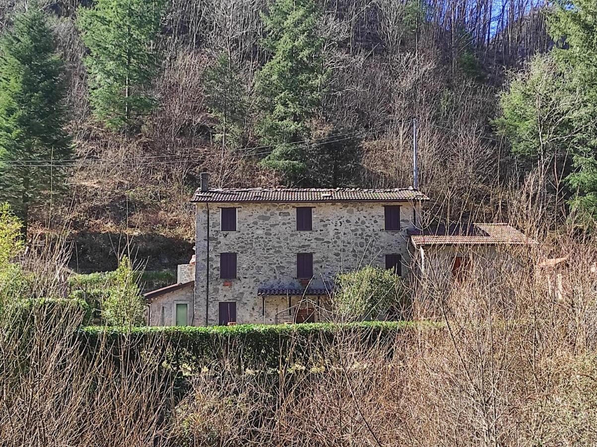 Casa Vacanze Il Boscaccio "Casa Massimo" Fornovolasco Esterno foto