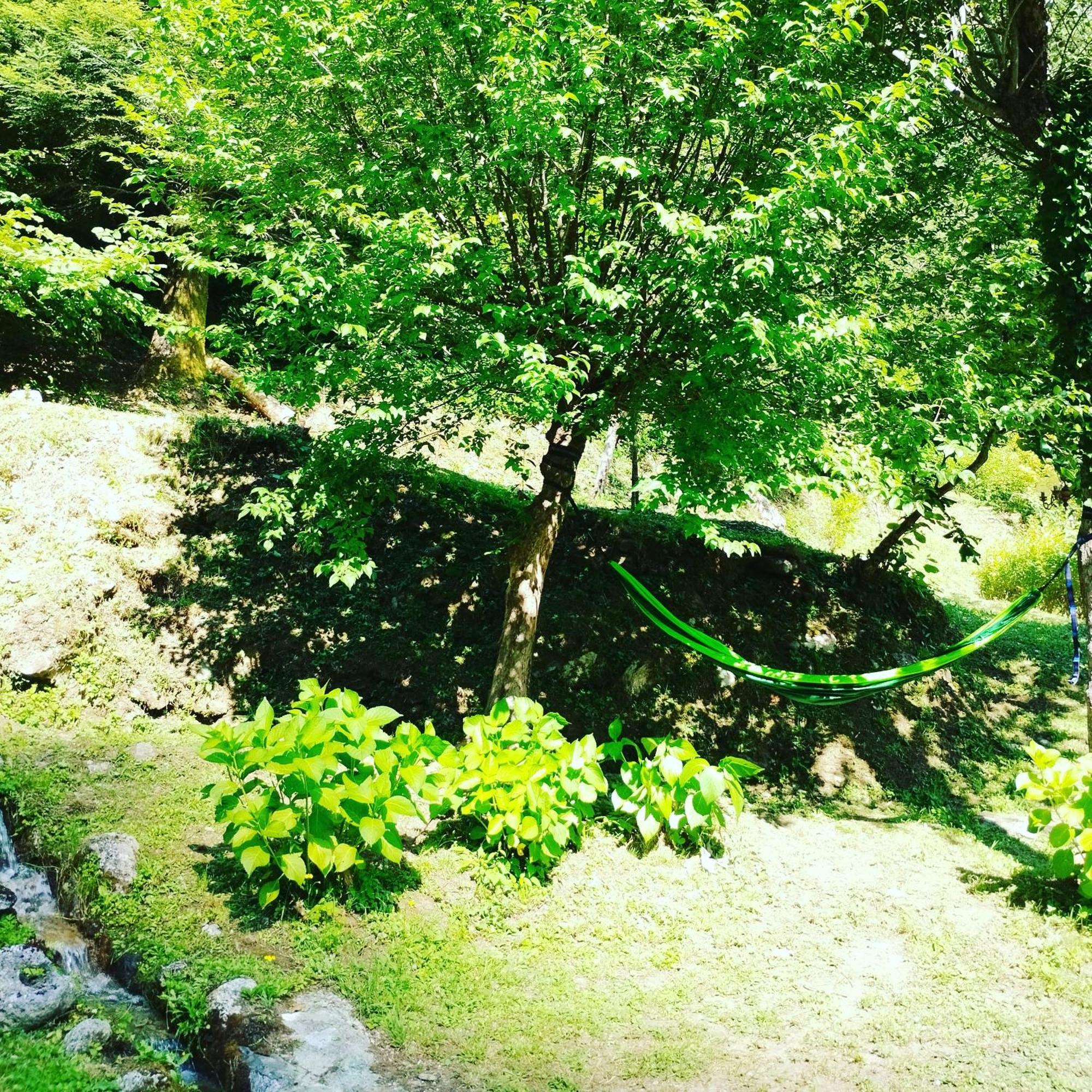 Casa Vacanze Il Boscaccio "Casa Massimo" Fornovolasco Esterno foto